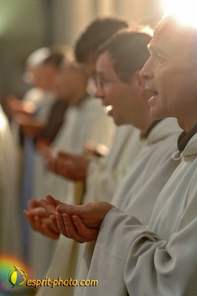 Nom de l'image : BT2006_1946_D2190305_1 — Description :