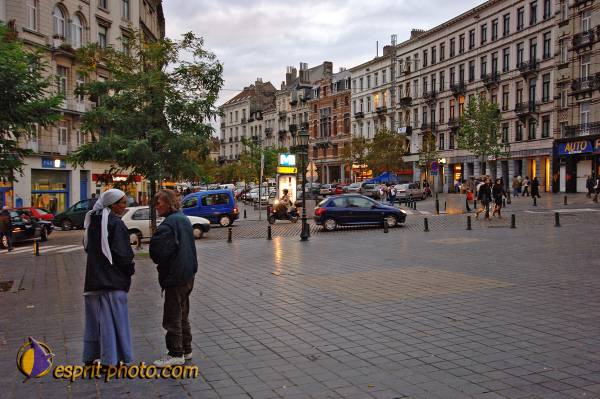 Nom de l'image : BT2006_2588_E2062003_1 — Description :