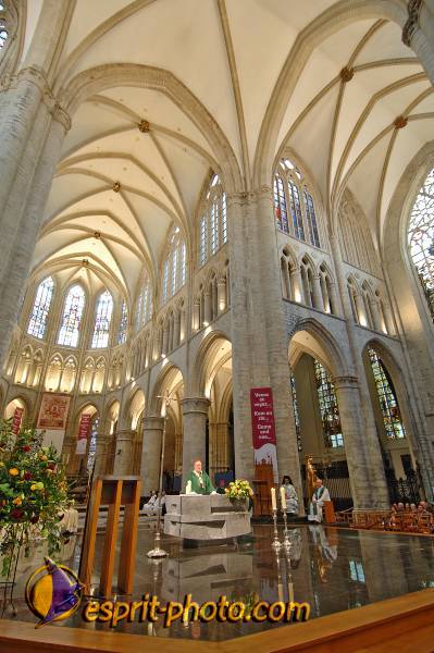 Nom de l'image : BT2006_0035_D2188585_1 — Description :