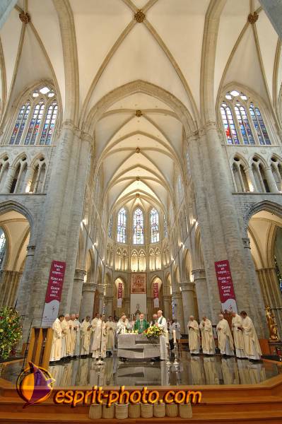 Nom de l'image : BT2006_0083_D2188635_1 — Description :