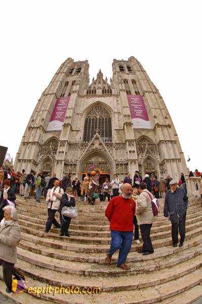 Nom de l'image : BT2006_3460_D2191636_1 — Description :