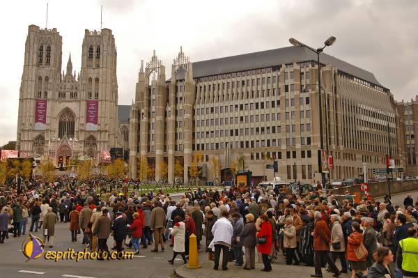 Nom de l'image : BT2006_8810_D2197190_1 — Description :