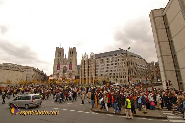 Nom de l'image : BT2006_8812_D2197192_1 — Description :