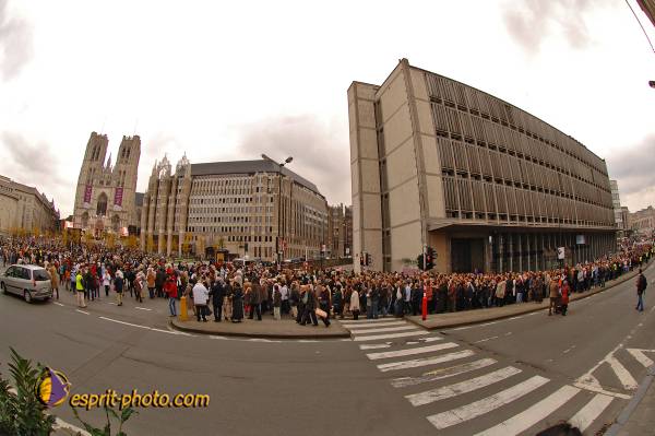 Nom de l'image : BT2006_8817_D2197197_1 — Description :