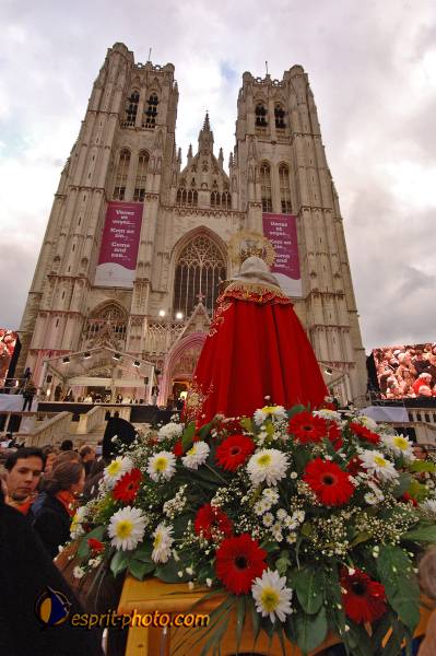 Nom de l'image : BT2006_8950_E2062626_1 — Description :