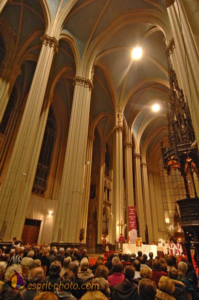 Nom de l'image : BT2006_4483_D2192621_1 — Description :