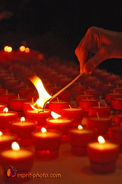 Nom de l'image : BT2006_4499_D2192638_1 — Description :