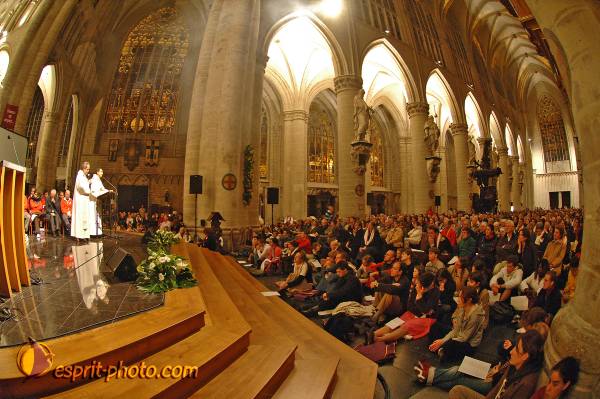 Nom de l'image : BT2006_3777_D2191972_1 — Description :