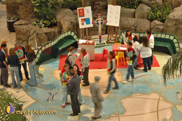 Nom de l'image : E2004185-1 — Description :