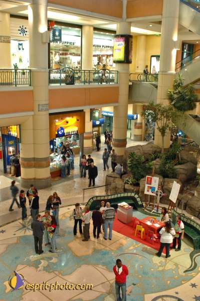 Nom de l'image : E2004186-1 — Description :