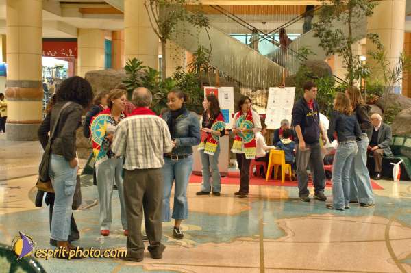 Nom de l'image : E2004207-1 — Description :