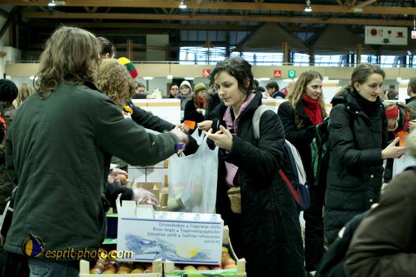 Nom de l'image : 028_TdBois_20081229_1635 — Description :