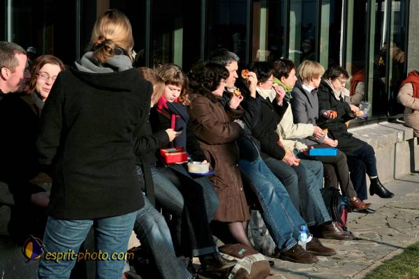 Nom de l'image : 086_TdBois_20081230_1257 — Description :