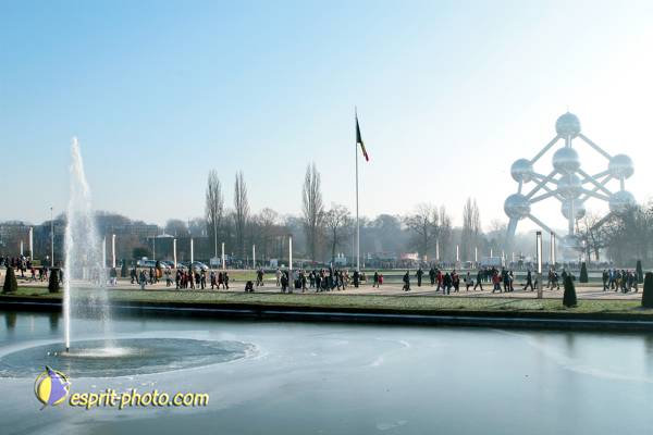 Nom de l'image : 087_TdBois_20081230_1300 — Description :