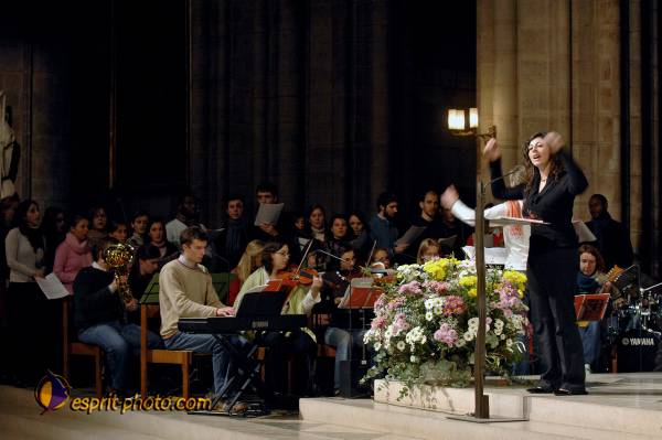 Nom de l'image : D2251306_1 — Description :