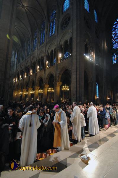 Nom de l'image : D2206389_1 — Description :