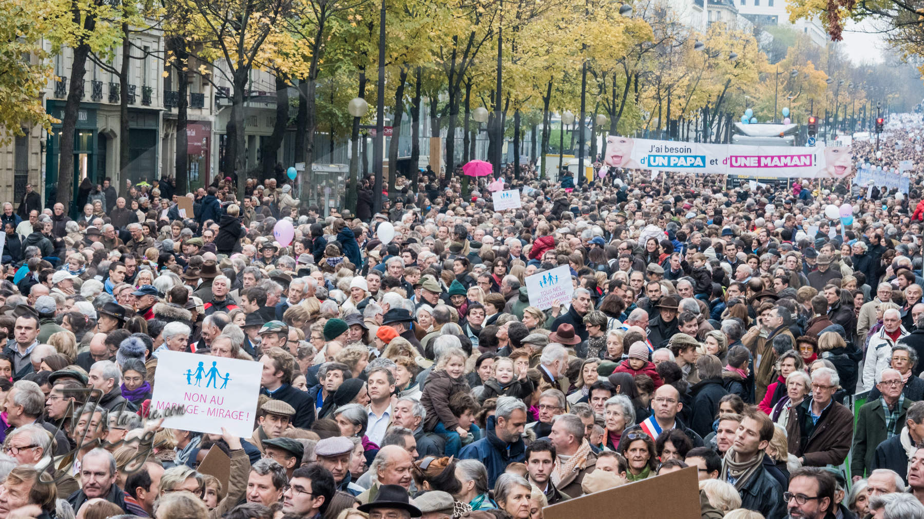 Nom de l'image : D8e010693 — Description :