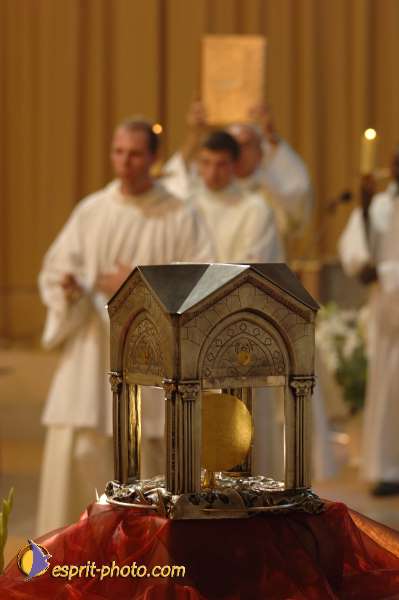 Nom de l'image : D2059013_1 — Description :  Sister Briege McKenna - Retraite de 950 prêtres à Ars