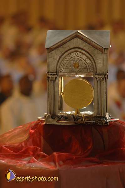 Nom de l'image : D2059069_1 — Description :  Sister Briege McKenna - Retraite de 950 prêtres à Ars