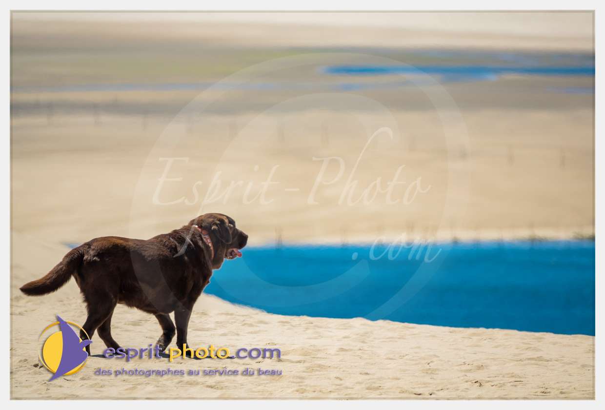 Nom de l'image : S1018321_(c)esprit-photo.com — Description :