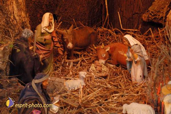 Nom de l'image : EG-300-1339 — Description :