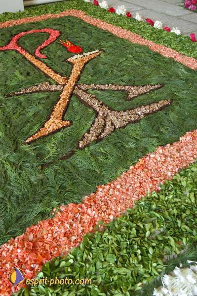 Nom de l'image : D1144145-01 — Description :