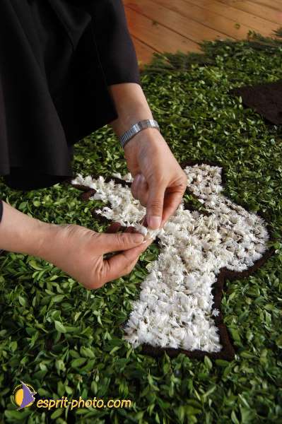 Nom de l'image : D1144642-01 — Description :