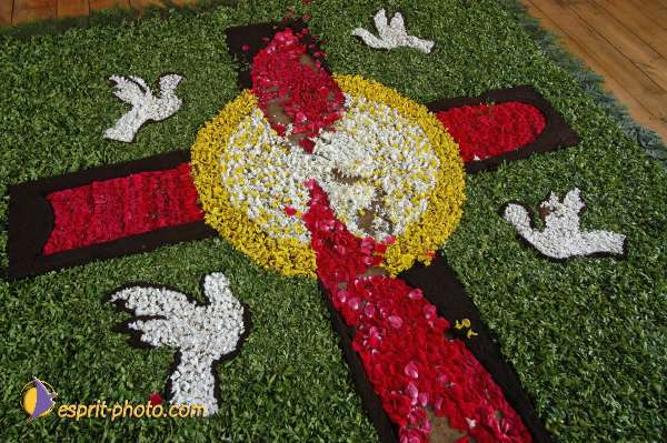 Nom de l'image : D1144659-01 — Description :