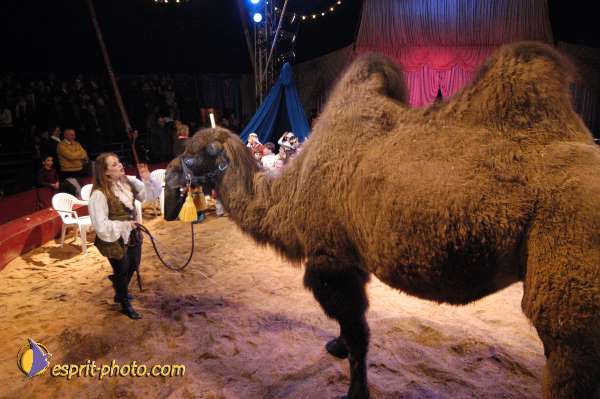 Nom de l'image : E00021510-1 — Description :