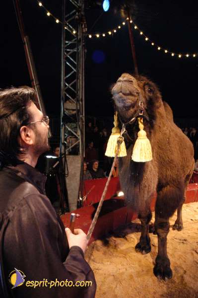 Nom de l'image : E00021536-1 — Description :