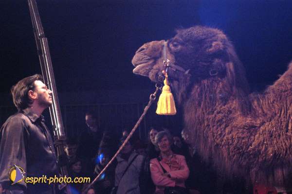 Nom de l'image : E00021548-1 — Description :