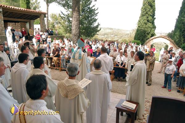 Nom de l'image : D1033322_1 — Description :