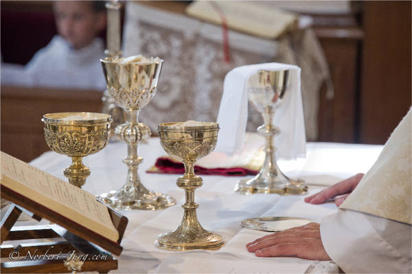 Nom de l'image : ProfessionDeFoi15 — Description :