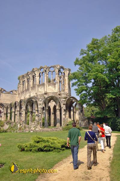 Nom de l'image : D2171594_1 — Description :