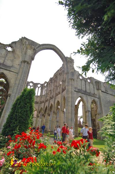 Nom de l'image : D2171600_1 — Description :