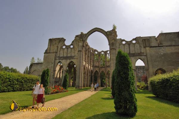 Nom de l'image : D2171607_1 — Description :