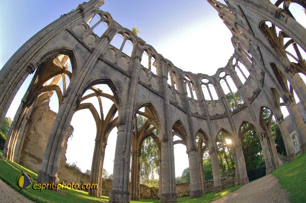 Nom de l'image : D2171956_1 — Description :