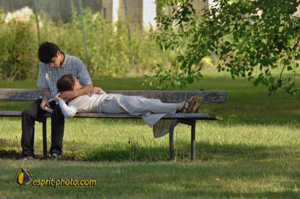 Nom de l'image : D2172150_1 — Description :