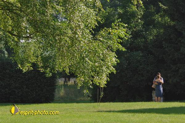 Nom de l'image : D2172172_1 — Description :