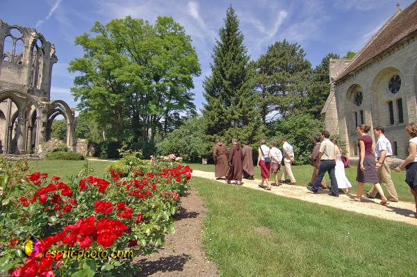 Nom de l'image : D2172316_1 — Description :