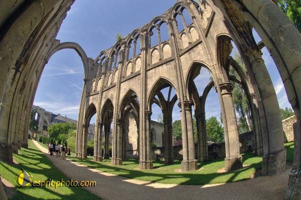 Nom de l'image : D2172331_1 — Description :