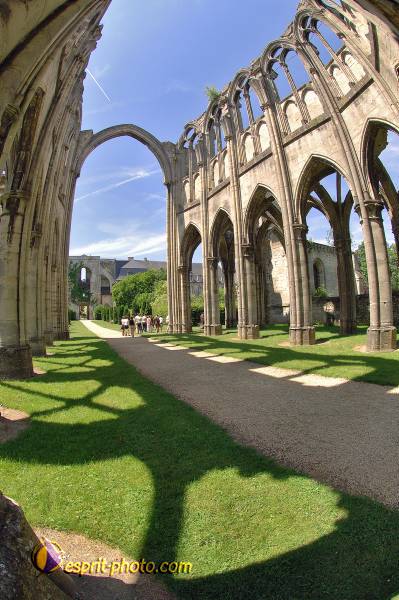 Nom de l'image : D2172332_1 — Description :