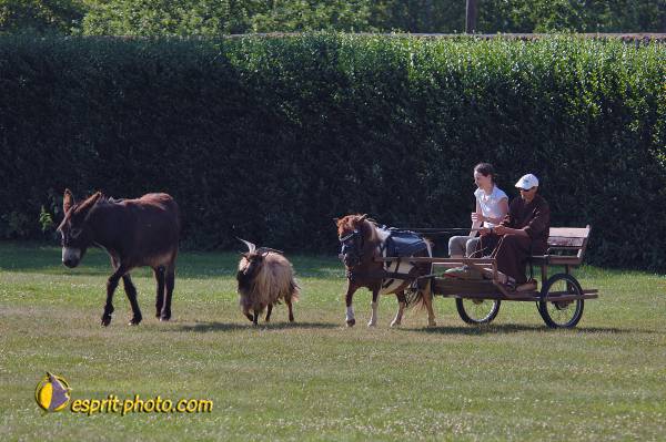 Nom de l'image : D2172719_1 — Description :