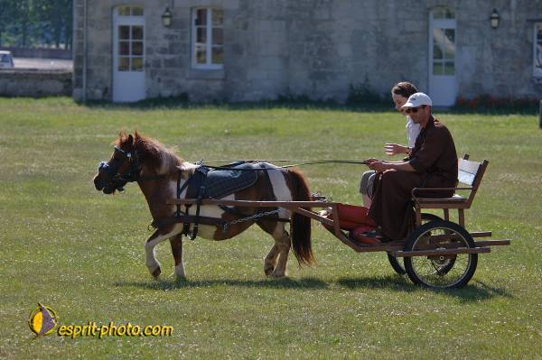 Nom de l'image : D2172720_1 — Description :