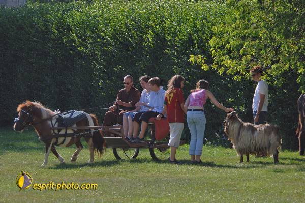 Nom de l'image : D2172733_1 — Description :