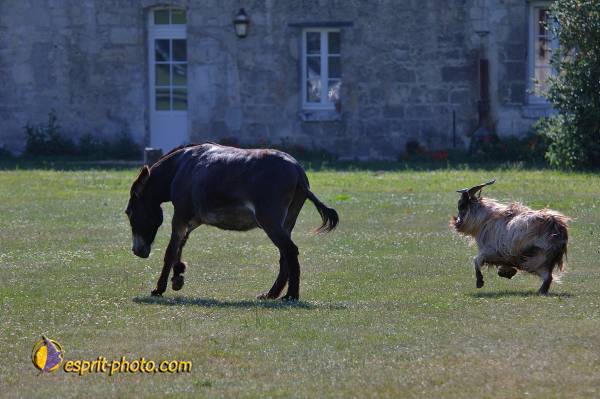 Nom de l'image : D2172738_1 — Description :