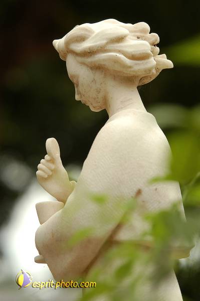 Nom de l'image : D1155449-01 — Description :