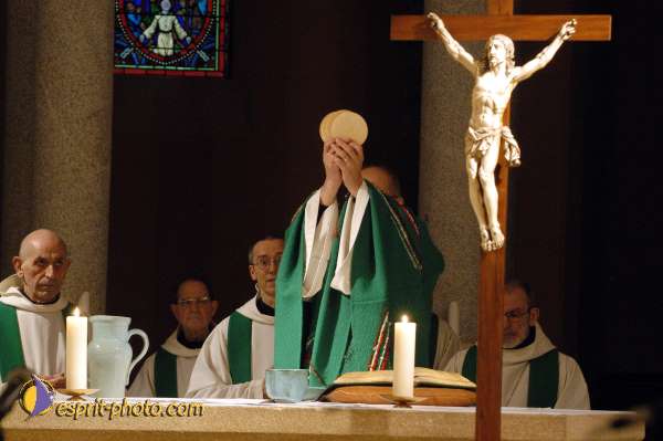 Nom de l'image : D1090799-01 — Description :