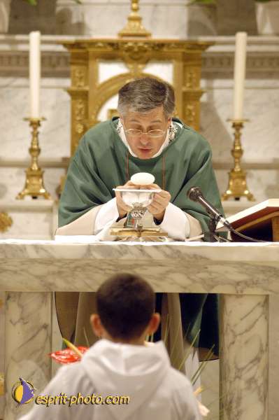 Nom de l'image : D1096078-01 — Description :