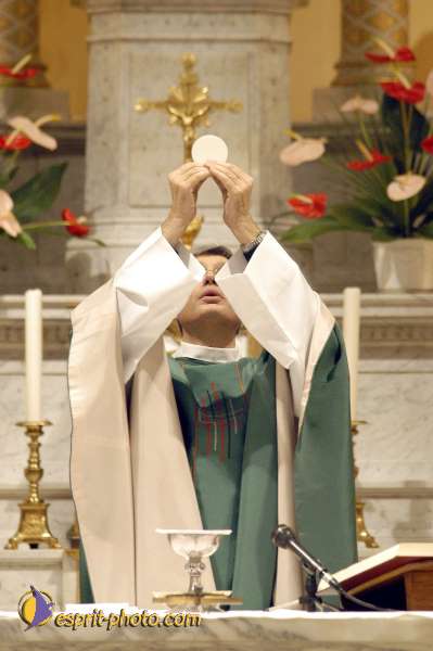 Nom de l'image : D1096082-01 — Description :